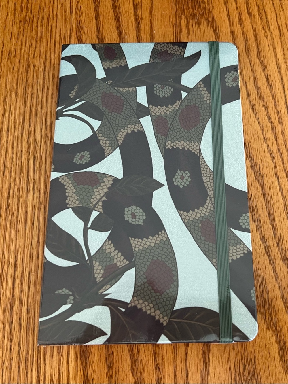 Moleskine Year of the Snake Hardcover Ruled Notebook